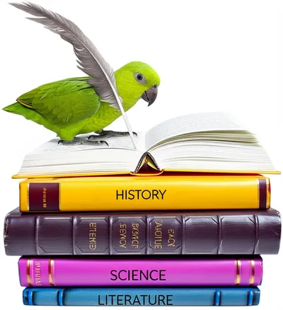 Illustration verbatim - Image 1