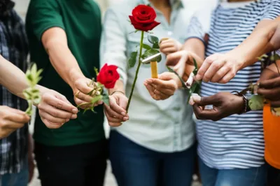 Illustration p - Image 1