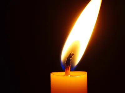 Hình ảnh minh họa wick - Ảnh 1