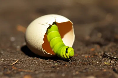 Illustration regressing - Image 1