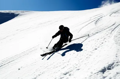 Illustration schusses - Image 1