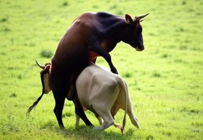 Illustration leap - Image 1