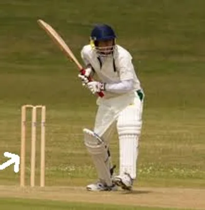 Illustration wicket - Image 2