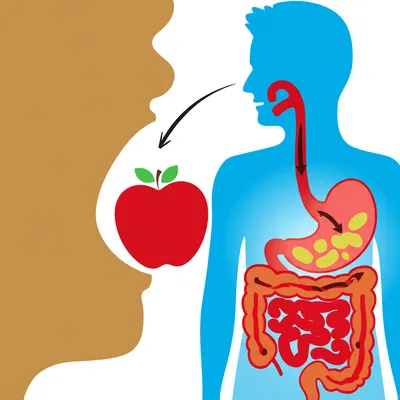 Illustration ingest - Image 1