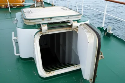 Hình ảnh minh họa companion - Ảnh 1