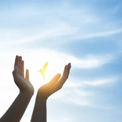 Illustration remitting - Image 1