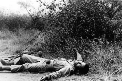 Illustration floppies - Image 1