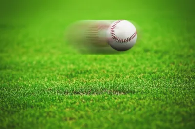 Illustration hops - Image 1