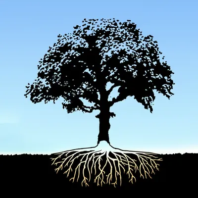 Illustration confidence - Image 1