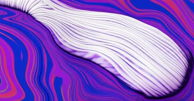 Illustration dyed - Image 1