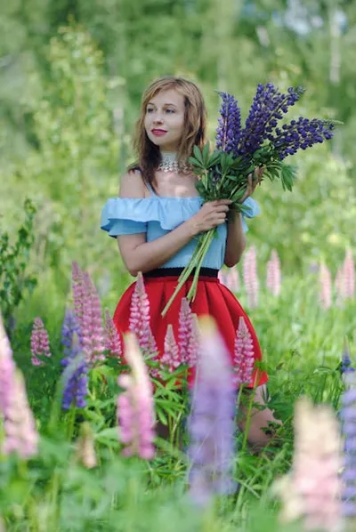 Illustration lupins - Image 2