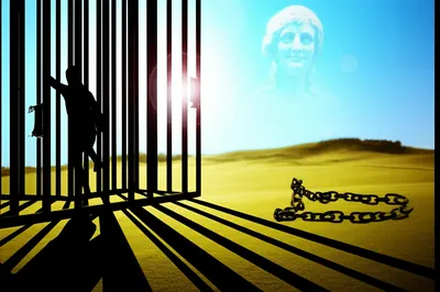 Illustration acquit - Image 1