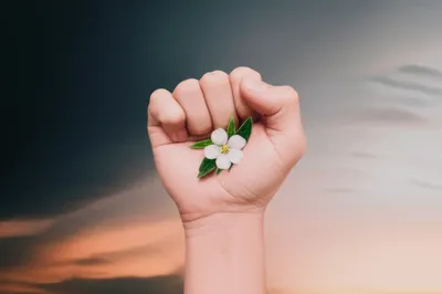 Illustration relent - Image 1