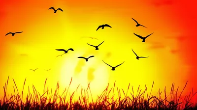 Illustration rising - Image 1