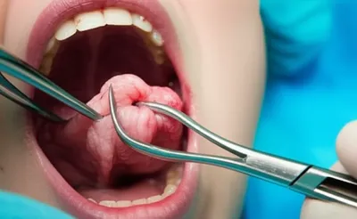 Illustration guillotine - Image 1