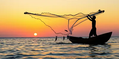 Illustration nets - Image 1