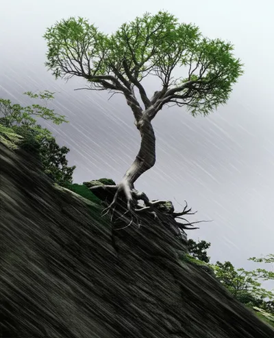 Illustration suffered - Image 1