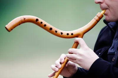 Hình ảnh minh họa crumhorn