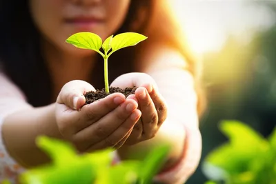 Illustration appreciates - Image 1