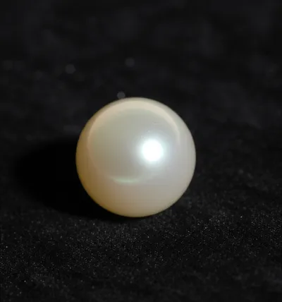 Illustration lustre - Image 1