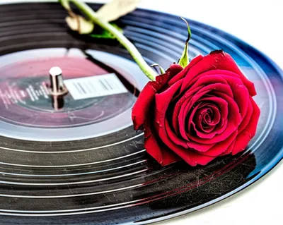 Illustration hackneyed