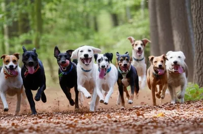 Illustration packs - Image 1