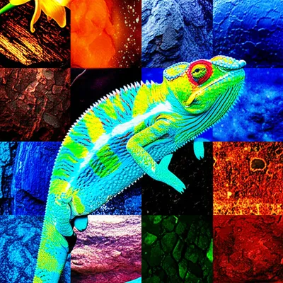 Illustration accommodating