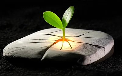 Hình ảnh minh họa preexisting