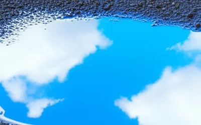 Illustration dub - Image 1