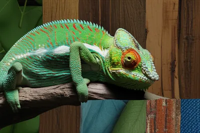 Illustration adjusting - Image 2