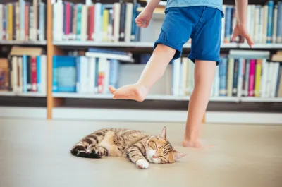 Illustration tiptoed - Image 1