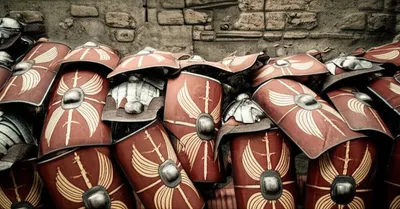 Illustration testudos - Image 1