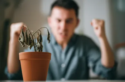 Illustration rates - Image 1