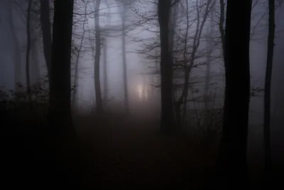 Illustration hidden - Image 1