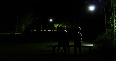 Illustration dogging - Image 1