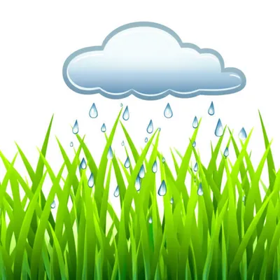 Illustration showers - Image 1