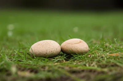 Illustration boys - Image 1