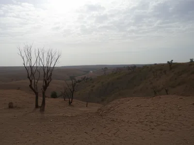 Illustration unforested - Image 2