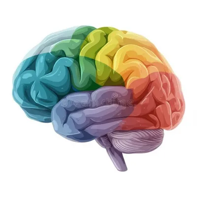 Illustration axis - Image 1