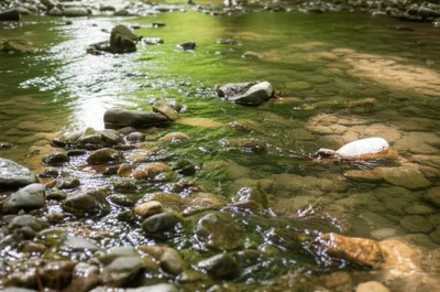 Illustration murmur - Image 1