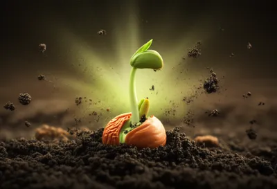 Illustration striking - Image 1