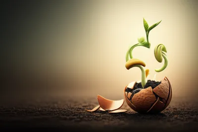 Illustration updates - Image 1