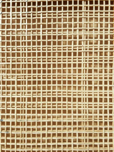 Illustration latticed - Image 1