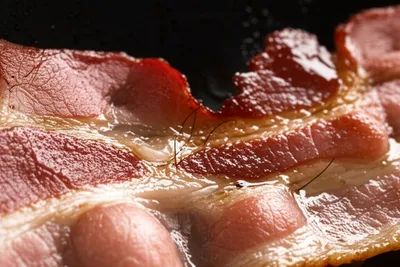 Illustration shags - Image 1