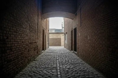 Illustration ally - Image 1