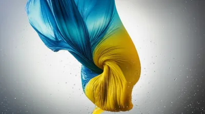 Illustration wrung - Image 1