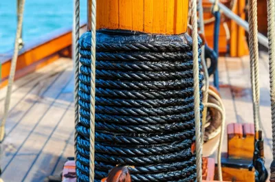 Illustration coats - Image 1