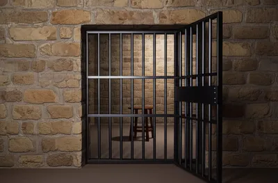 Illustration coop - Image 1