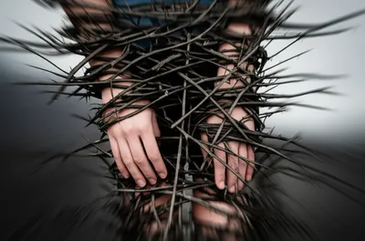 Illustration entangle - Image 1