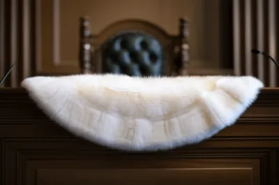 Illustration ermines - Image 1